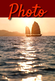 immagine link3